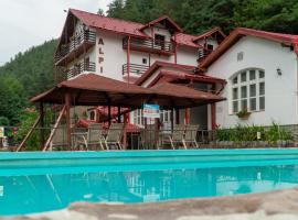 Pensiunea Alpin, Hotel in Păltiniş