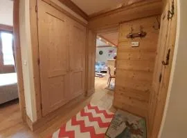 Appartement cosy avec accès direct pistes skieuses, balcon ouest, Val-d'Isère - FR-1-518-100