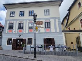 Hotel Salamander - Garni, hotel en Banská Štiavnica