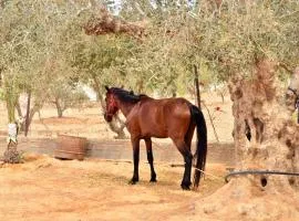 Ranch Tanit Djerba