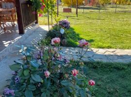 Apartmani Petar – hotel w mieście Mokra Gora