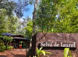 Selva de Laurel