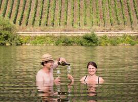 Reis - feine Weine "Am Weingut", hotel in Briedel