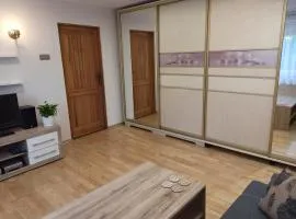 Apartament Sówka