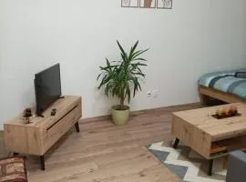 Štýlový Apartmán Zemplínska