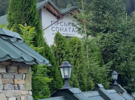 Гірська Соната, hotel in Mykulychyn