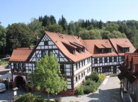 Hotel Goldener Hirsch, penzion v destinaci Suhl