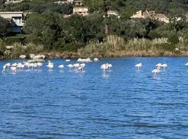 Luxe et Confort à Porto-Vecchio