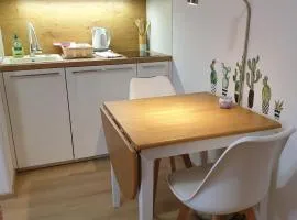 Apartmaji Pri Medvedu Studio Rudnica