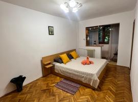 Miha modern and central apartament Malul Mureșului, hôtel pour les familles à Arad