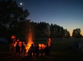 Biebrza CAMP - pole namiotowe