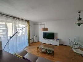 Appartement lumineux Seine, île St-Germain, proche Porte de Versailles et la Défense