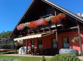 Penzion Major, hotel en Rokytnice nad Jizerou