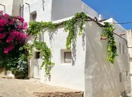 Renovated house in the historic center