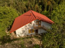 Cottage surrounded by forests - The Sunny Hill, hotel in Griže