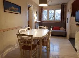 Appartement familial de 3 pièces, au cœur du village, proche des pistes, idéal pour enfants - FR-1-515-126