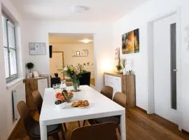 90 m2 horský apartmán v centru Harrachova