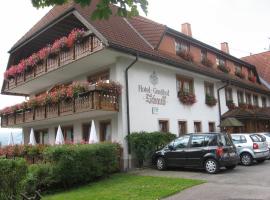 Hotel Gasthof Straub, hotel i Lenzkirch