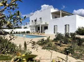 White Pearl Villa Naxos with Private Swimming Pool