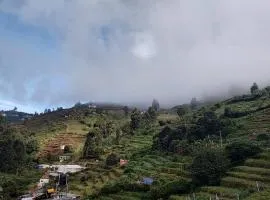 Kodai Breeze