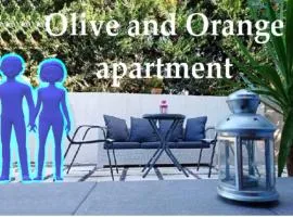 Olive and Orange Apartment