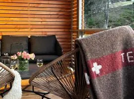 Feldberg Apartment - direkt an der Skipiste - mit Sauna