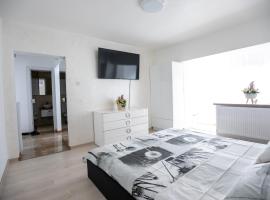 Apartament CENTRAL, viešbutis mieste Tirgu Žiu