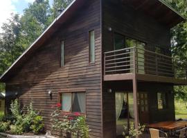 Cabañas Alto Bosque, Cottage in Pucón