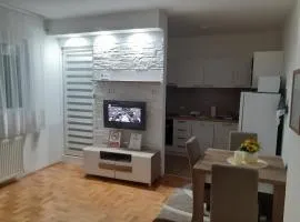 Apartman Vlada