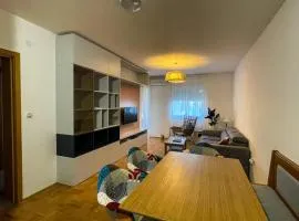 Luxury apartment Seljanovo