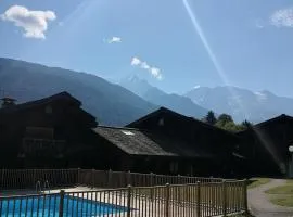 Appartement aux pieds des pistes / piscine