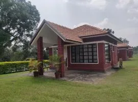 Dubare Inn Coorg