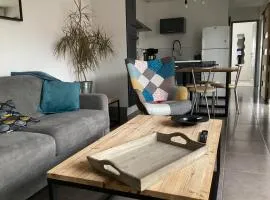 Joli appartement 50 m2 classé 3 etoiles avec terrasse et jardin