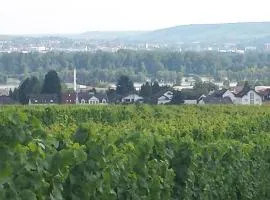 Ferienwohnung Weingut Leis