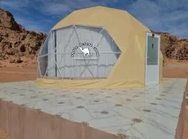 White Desert Camp