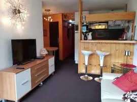 Appartement rénové 6 personnes à Arc 2000, balcon, télé, DVD, casier à ski - FR-1-411-407