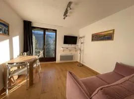 Studio rénové à Flaine Forêt · Proche des pistes et commerces · Balcon sud · Confort pour 4 personnes - FR-1-425-162