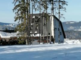 Planinska Kraljica, hotel v destinaci Gornje Pale