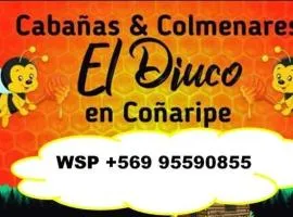 Cabañas El Diuco en Coñaripe 4