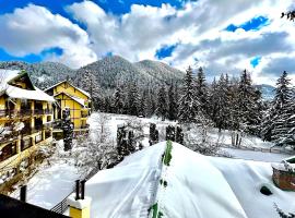 Hotel Casa Viorel, hôtel à Poiana Brasov