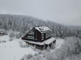 OREA Resort Horizont Šumava, hotel Železná Rudában