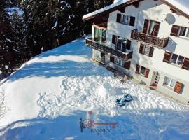 Chalet 5 stars in San Bernardino, SKI SLOPES AND HIKING, Fireplace, 4 Snowtubes Free, Wi-Fi Free, for 8 persons, Wonderful in all seasons -By EasyLife Swiss, отель в Сан-Бернардино