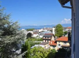 Spacieux appartement à Évian-les-Bains avec balcon et garage - FR-1-498-48