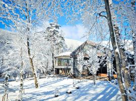 Hotel Sierra Resort Hakuba, hotel di Hakuba