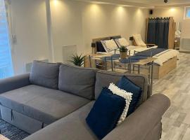 Très bel appartement type loft de 40 m2 dans maison avec parking privatif, acomodação com cozinha em Lingolsheim