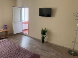 Apartment on Mira avenue, pension in Izmail