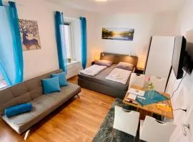 Einzimmer-Apartment 25 m2 Gartenzinken im Zentrum von Bad Ischl