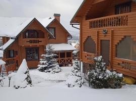 Вілла Олекси, hotel in Skhidnitsa