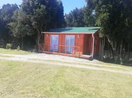 Cabaña entre árboles Carretera Austral