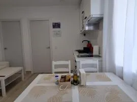 APARTAMENTOS TANEZ SANTURCE a